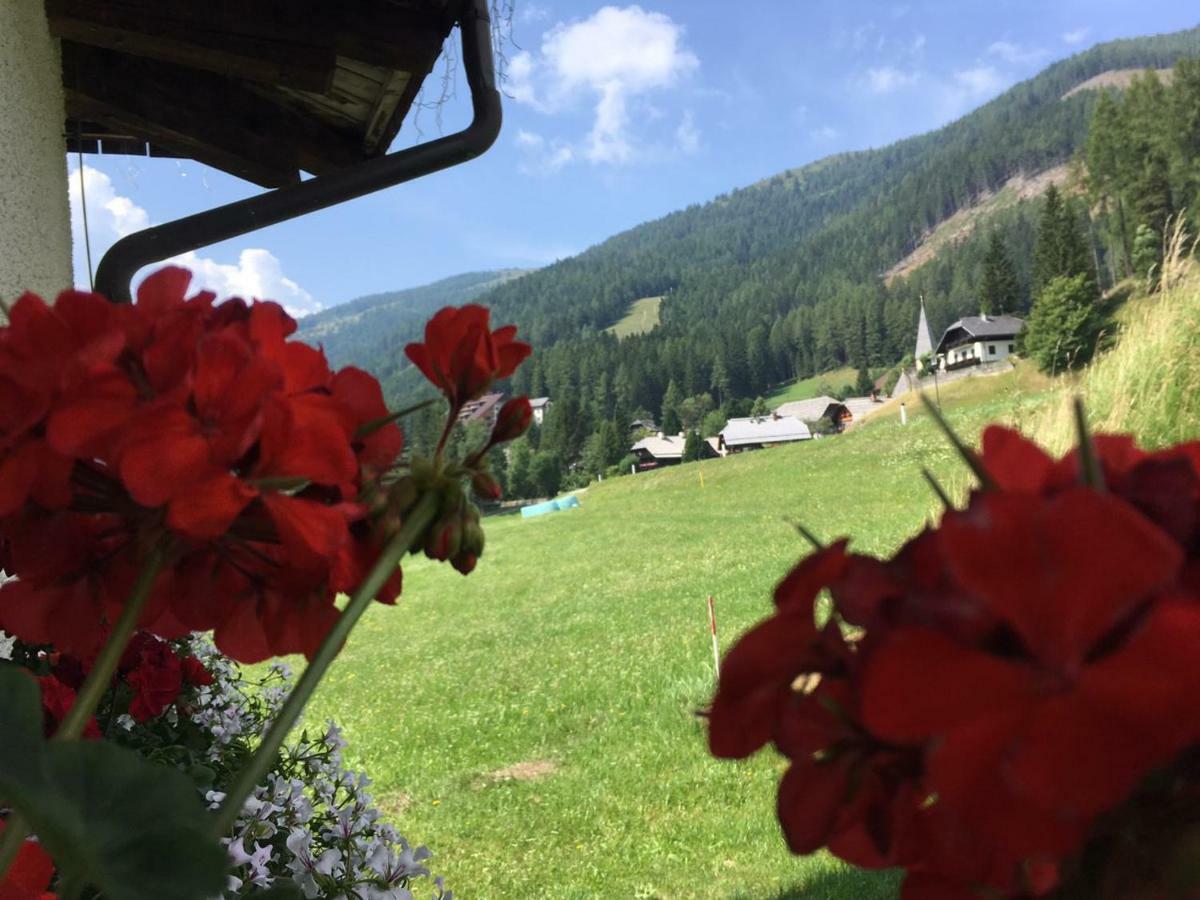 Nockalm Cottage Bad Kleinkirchheim Kültér fotó